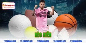 Hướng dẫn cách chơi và soi kèo xiên luôn thắng hôm nay VIP 1 kèo xiên