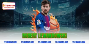 Robert Lewandowski: Trở thành cỗ máy ghi bàn tại châu Âu 1 robert lewandowski