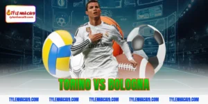 Chuyên gia soi kèo phân tích kết quả trận Torino vs Bologna 15 torino vs bologna