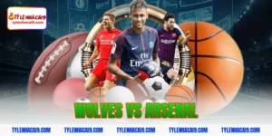 Nhận định đánh giá và soi kèo tỷ số trận Wolves vs Arsenal 13 wolves vs arsenal